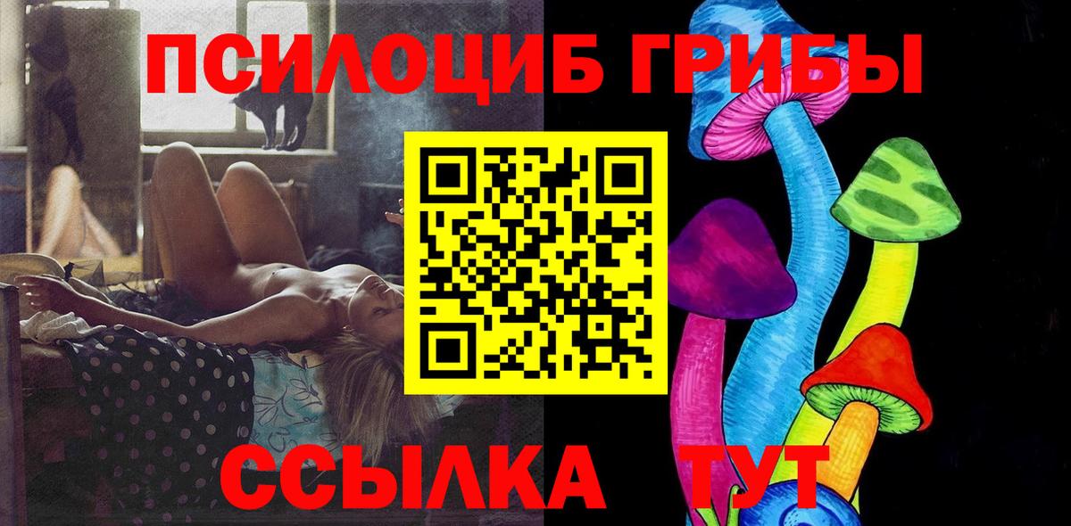 Псилоцибиновые грибы Cubensis Боровичи